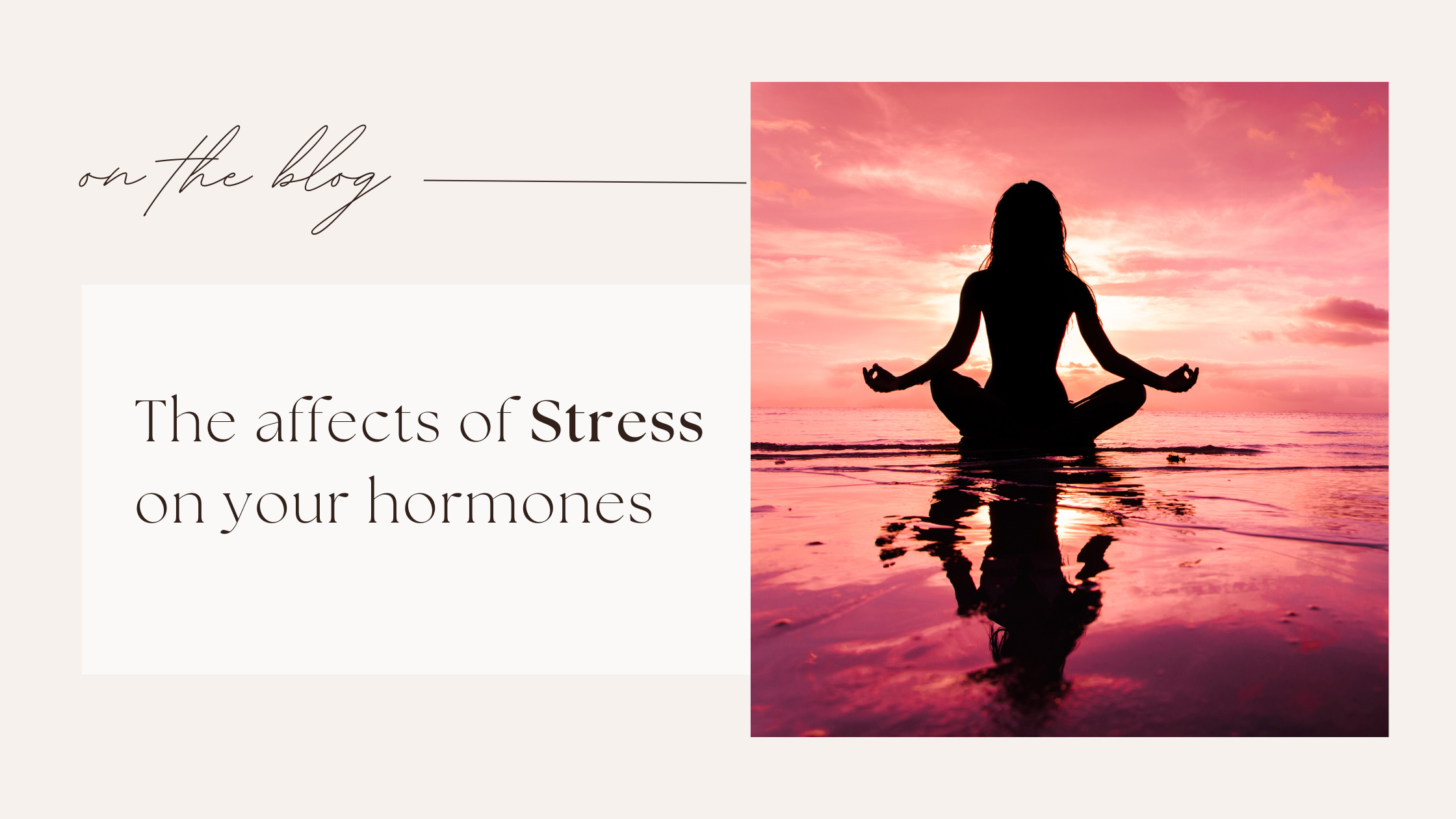 The Effects of Stress on your hormones: A Guide to Restoring Balance.